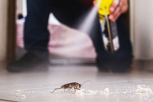 Professional Pest Control in Eagle Lake, FL
