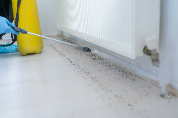 Pest Control for Restaurants in Eagle Lake, FL